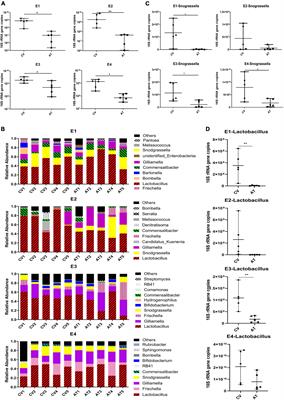 The Pass-on Effect of Tetracycline-Induced Honey Bee (Apis mellifera) Gut Community Dysbiosis